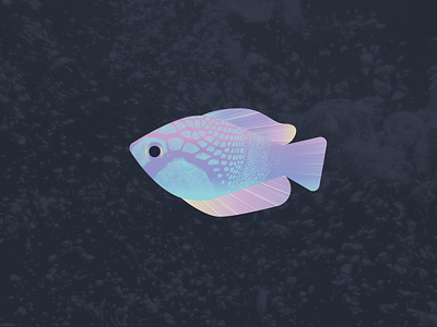 Beta Fish betafish color fish illustration ocean rainbow sea texture vector