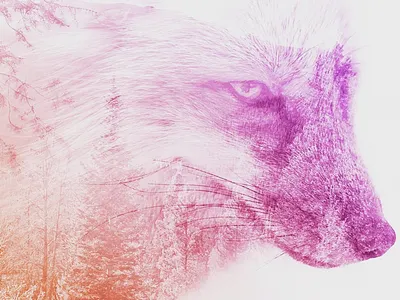Double Exposure Fox double exposure duotone gradient