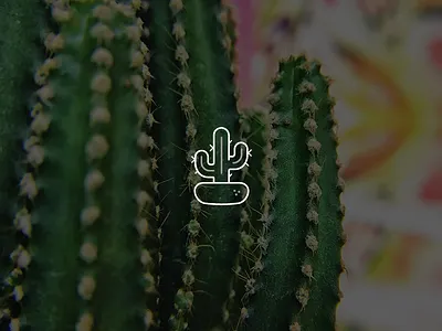 Cactus cactus icon nature plant