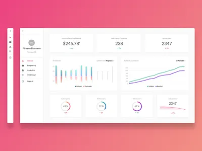 Startup Budget Dashboard Concept app business dashboard web