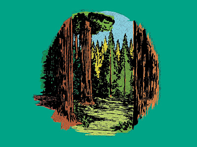 Redwood backpacking california camping halftone redwood redwoods retro sequoya trees vintage
