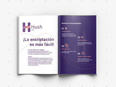 Prueba encrypt encryption hushapp protection