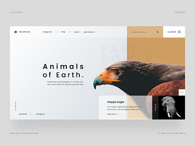 THE SPECIES - DESIGN CONCEPT animals animals website design concept designer digital design interface design piter dimitrov ui design uiux web design web designer website design