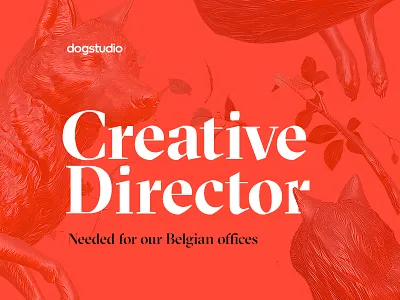 Hiring a Creative Director art belgium creative designer digital director dogstudio hiring job jobs senior