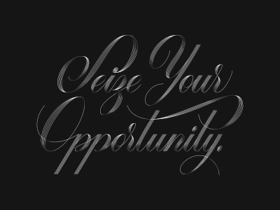 Seize Your Opportunity curves font lettering lines script type typography vector