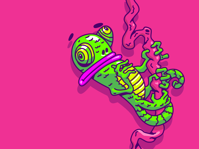 Que carajo chameleon confussion sargentopez uruguay wtf