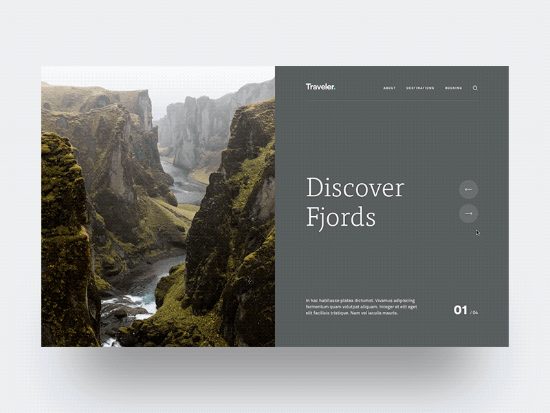 Traveler - Hero Animation hero principle split screen travel ui ui animation ux website