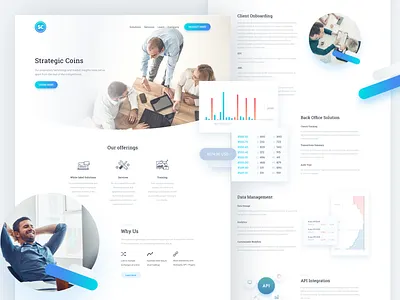 Strategic Coins Web Design coins design graph responsive strategic web web design website wordpress