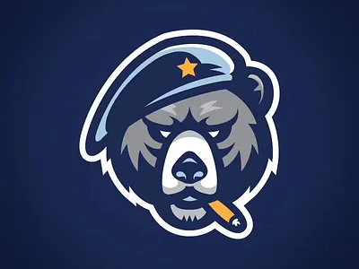 Veterans partial logo basketball bear medal veteran