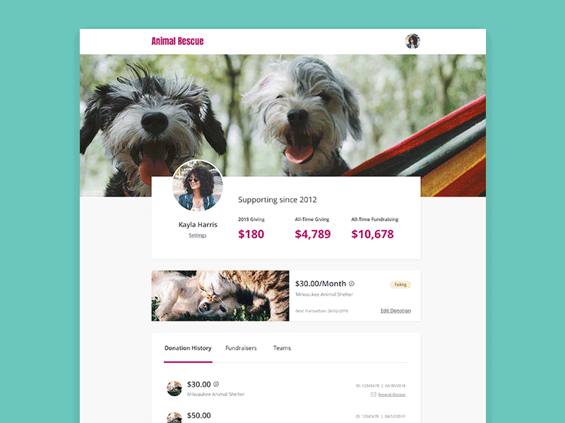 Supporter Profile donor product design profile ui ux