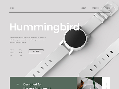 Hummingbird beautiful concept grid lander modern offset photo ui ux watch