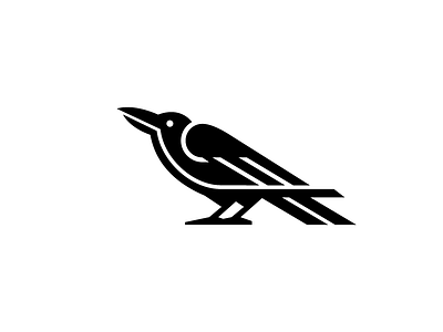 Crow animal bird crow illustration logo night