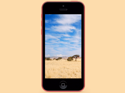 Stories Safari - Motion animation card instagram motion travel