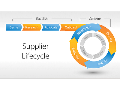 Supplier Lifecycle Model