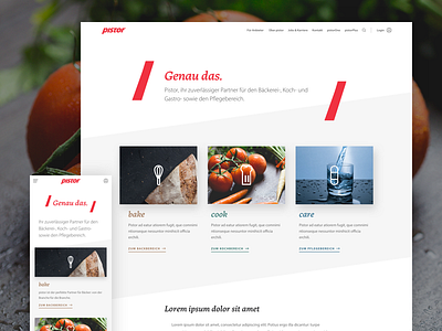 Pistor Startpage desktop home large mobile pistor small startpage