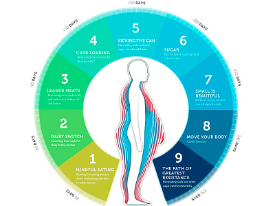 Weight Loss Infographic fitness infographic