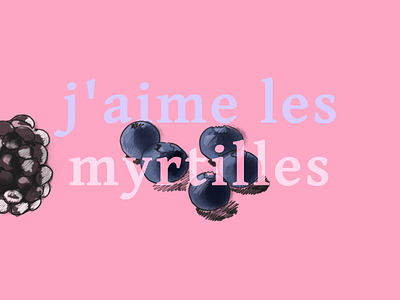 J'aime les myrtilles blueberries brush fruits illustration