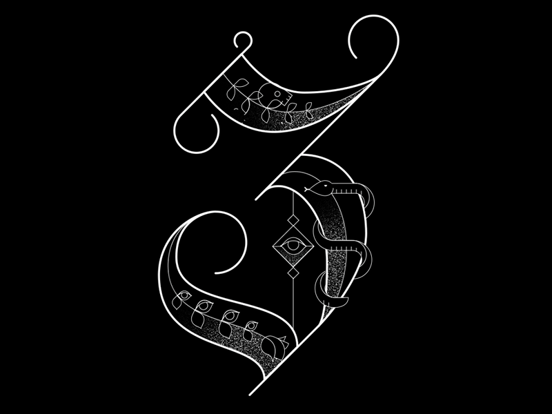 Area Code – Chicago 3 after effects death eye lettering rose skull snake spirit three