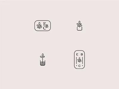 Plant Explorations fern leaves plant planter