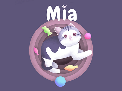 Mia the kitten american short hair animal cat cute fluffy kawai kitten kitty mia
