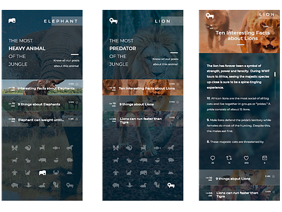 Blog using the Animal Icons Kit of @SteveWolf adobexd app mobile blog posts raylin aquino stevewolf ui