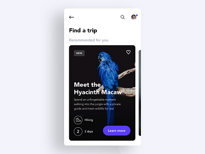 Travel adventure concept thumbnail mobile thumbnail ui ux