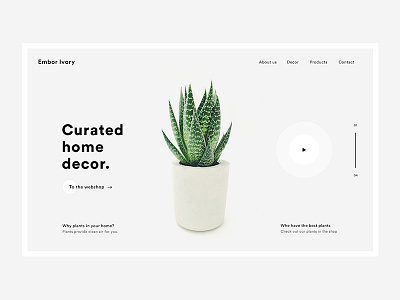 Curated Home Decor beautiful clean curated decor green home minimal plant white