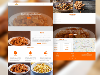 NutsHiNuts Brand & Website Redesign front end web development product design ui ux web development