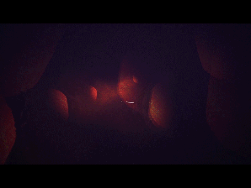 How to Compare animation design graphic design illustration motion graphics