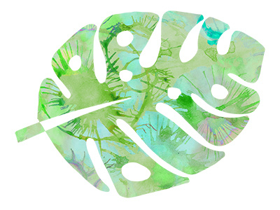 Tropical leaf with watercolor graphic element green leaf png tropical watercolor