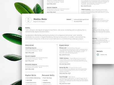 Minimal CV clean curriculum cv elegant minimal simple