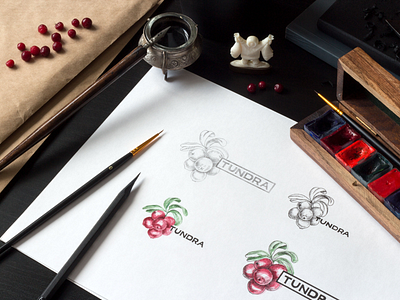 Тундра | Tundra branding calligraphy handwritten identity lettering logo logotype script sketch type watercolor workplace