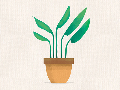 Potted Plant house plant leaf plant pot potted plant