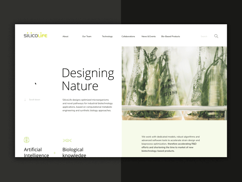 Silicolife animation icons landing minimal navigation scroll ui