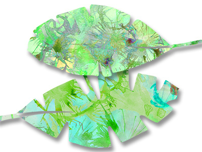 Tropical leaf with watercolor graphic element green leaf png tropical watercolor