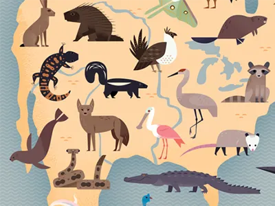 Animals of North America alligator animal icons animal illustration animal map animals coyote icons illustrated maps maps nature science wildlife