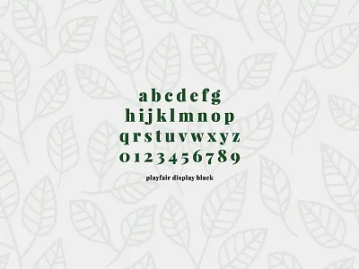 Madi Gardens Type elusive logo garden logo garden show garden show logo gardens green leaves nature nature logo professional serif simplistic