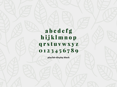 Madi Gardens Type elusive logo garden logo garden show garden show logo gardens green leaves nature nature logo professional serif simplistic