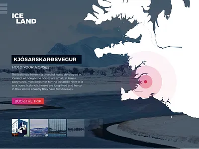 Iceland guide adventure book horses ice iceland images nature product page snow trip ui