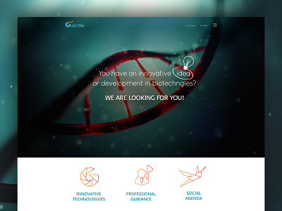 Galil Ofek site - peripheral technology incubator. icons ui web design. technology website