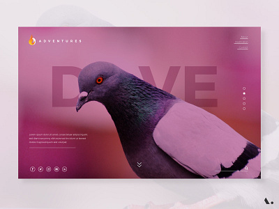 Adventures the sky view branding camera illustration landing layout page shop typography ui ux watch website