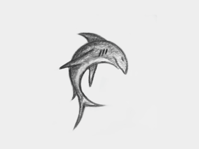 Shark animation logo shark