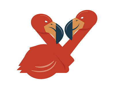 Gemini Season 2018 astrology beak bird birthday feathers flamingo gemini wings