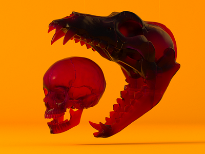 Hungry bone c4d glass maxon octane render skull wolf