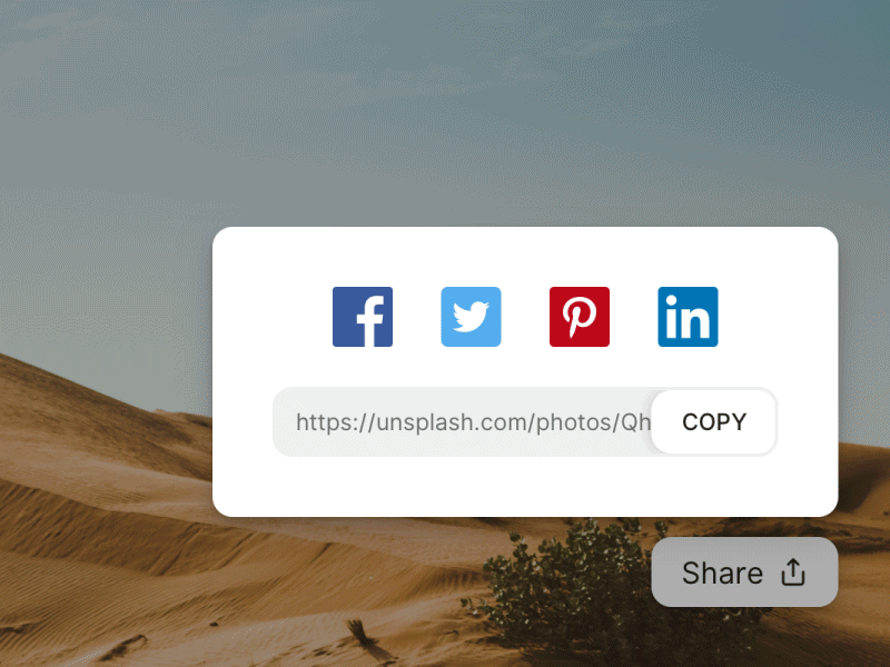 Share dialog animation 010 animation button copy dailyui dialog icon light share social toggle transition