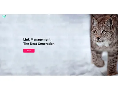 Link Mangement System Landing Page landing landing page link management system management system ui ux