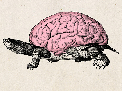 Slow Thinking brain engraved illustration monster surrealism turtle