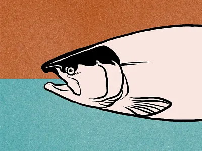 Fishes of the Great Lakes poster clean design fish great lakes lakes michigan midwest poster retro wildlife