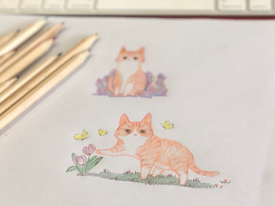 Huang miao miao