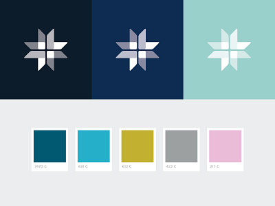 St. Mary's Academy color palette academy brand branding color color palette cross design eduction girls graphic design logo vector